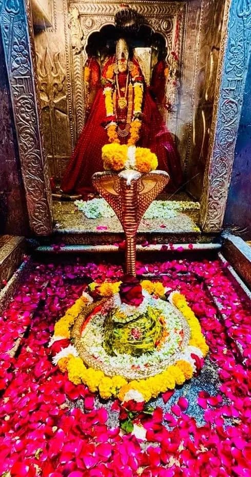 Ujjain Mahakaleshwar Temple Premium Tour Coordination